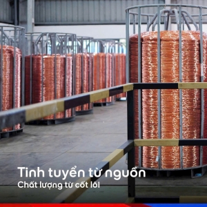 cong-ty-tnhh-tm-dv-ky-thuat-le-minh-phat-doi-tac-tin-cay-phan-phoi-day-cap-dien-tran-phu